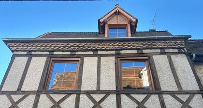 Remarkable house from XVIth, renovated, ideal pied-à-terre for visiting the LOT.