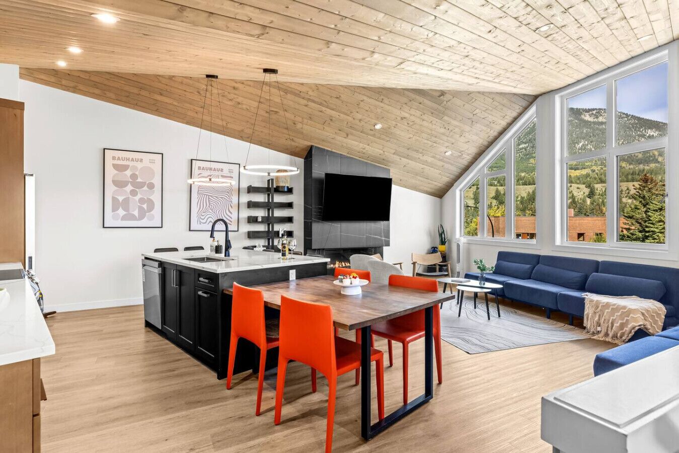 TV, fireplace, video games