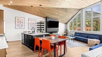 TV, fireplace, video games