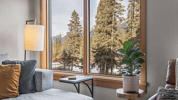 Télévision, cheminée