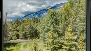 A view through a window of a forested area with a mountain in the background.