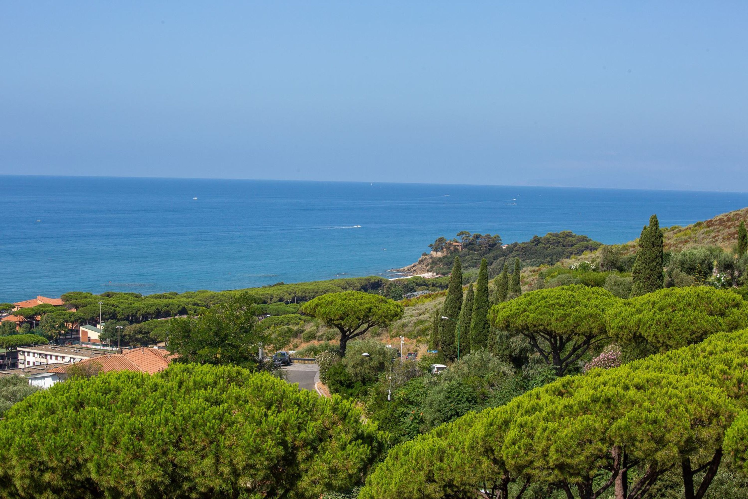 A coastal landscape with dense greenery, a clear sky, and the sea in the background.