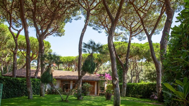 Une maison entourée d’arbres et dotée d’une pelouse bien entretenue.