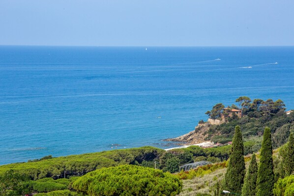 Un paisaje costero con vista despejada al mar, un promontorio rocoso con vegetación y un edificio distante.