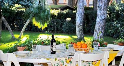 Beautiful Villa Ancora 200 Meters From the Sea-villa Ancora