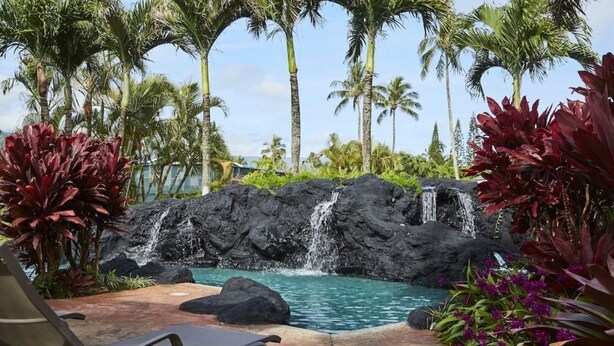Un área de piscina con cascada, rodeada de palmeras y plantas tropicales.