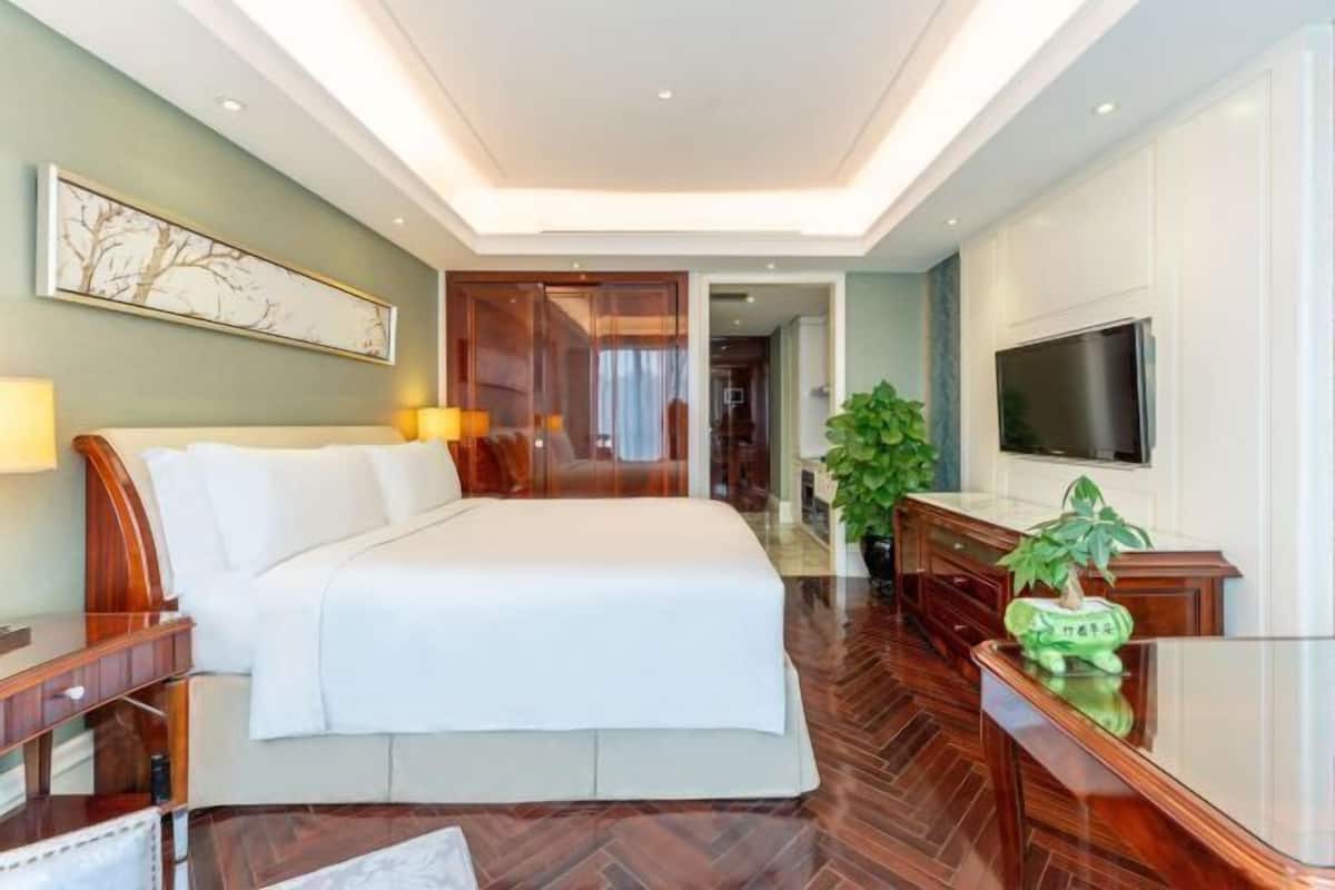 A hotel room with a large bed, bedside tables, a TV, and a potted plant.