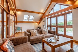 تلفزيون، مدفأة