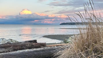 Chaises longues, serviettes de plage