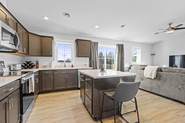 Fridge, microwave, stovetop, dishwasher