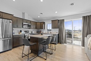 Fridge, microwave, stovetop, dishwasher