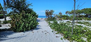Beach - Little Gasparilla Island a 2-bedroom cottage wth WiFi and AC on a private island (Placida)