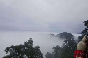 A view of a forested area with trees and a foggy atmosphere. - Yinan Inn (Dujiangyan)