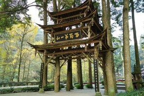 Unclassified image, 3 of 75, button - Yinan Inn (Dujiangyan)