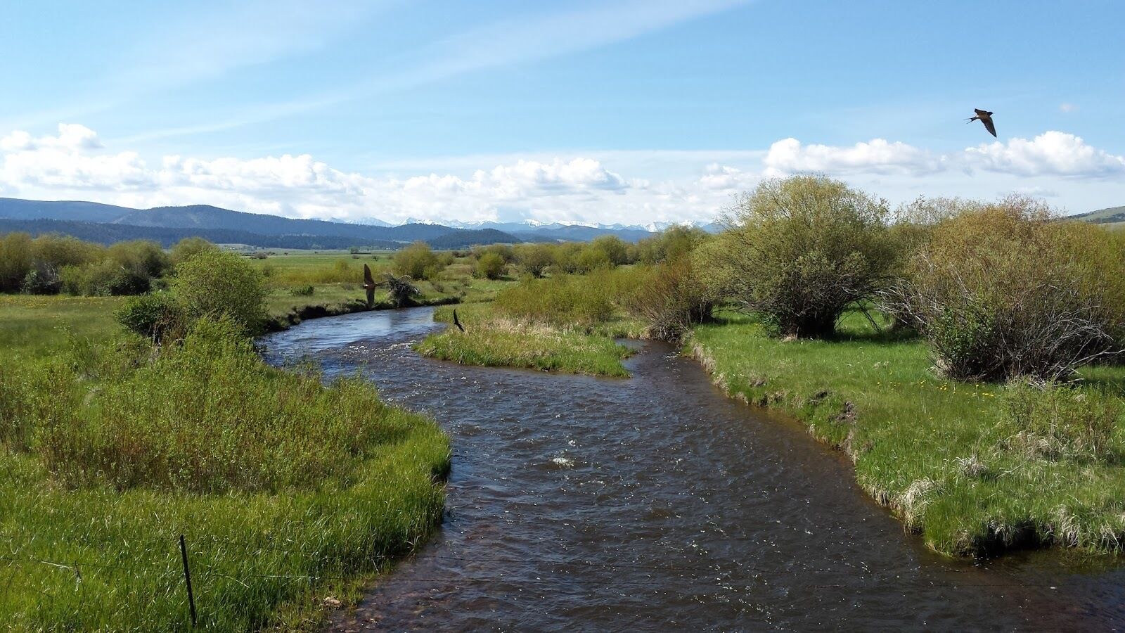 A river flowing through a green landscape with trees and hills in the background.