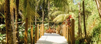 Charming 1BD/1BA Bed & Breakfast, Top Floor Unit with A/C and WiFi