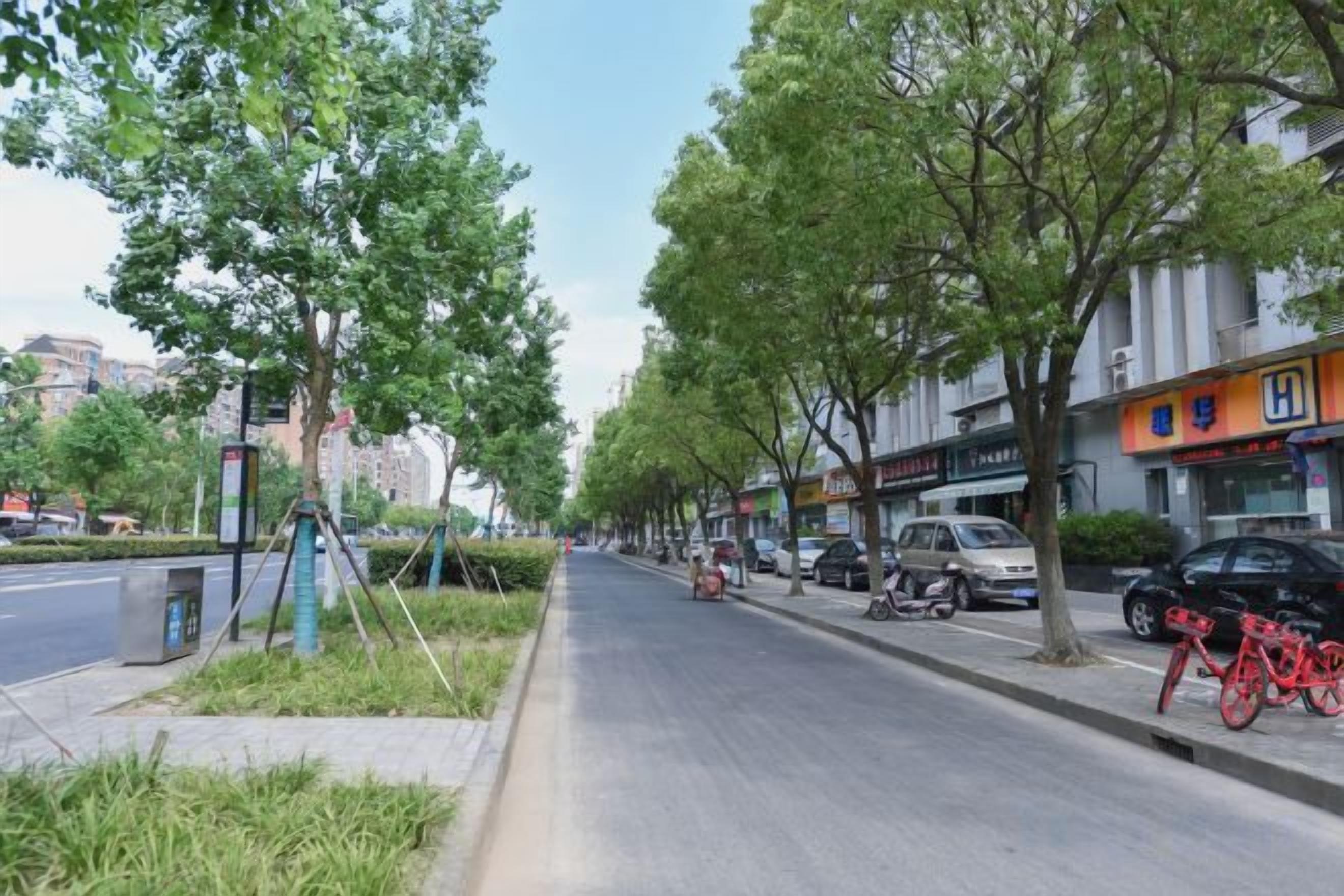 A tree-lined street with parked cars and a bicycle.