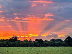 Miscellaneous - Orchard House - UK48580 (Rochford)