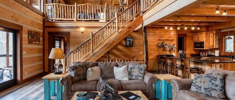 TV, fireplace, DVD player, books