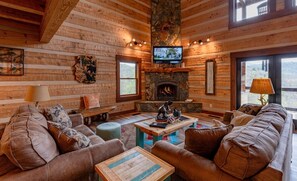 TV, fireplace, DVD player, books