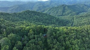 A forested mountain landscape with a small cabin. - Hawk's Landing-Private Luxury Log Cabin Rental, Mountain Views, High Speed Internet, Hot Tub - 15 minutes from the NOC! (Topton)