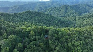 A forested mountain landscape with a small cabin.