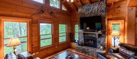 Télévision, cheminée, lecteur de DVD, livres