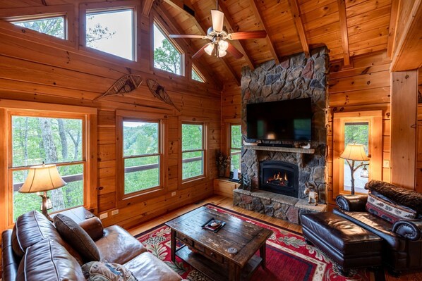 TV, fireplace, DVD player, books