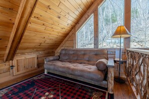 Télévision, cheminée, lecteur de DVD, livres