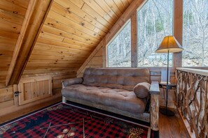 Télévision, cheminée, lecteur de DVD, livres