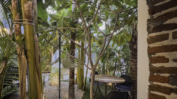 Un jardín interior con diversas plantas y una mesa con sillas.