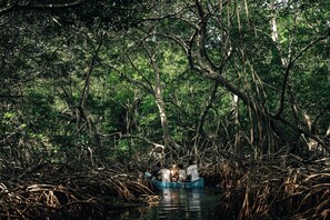 A group of people in a boat surrounded by dense mangrove trees. - Isla Corona (Rosario Islands)