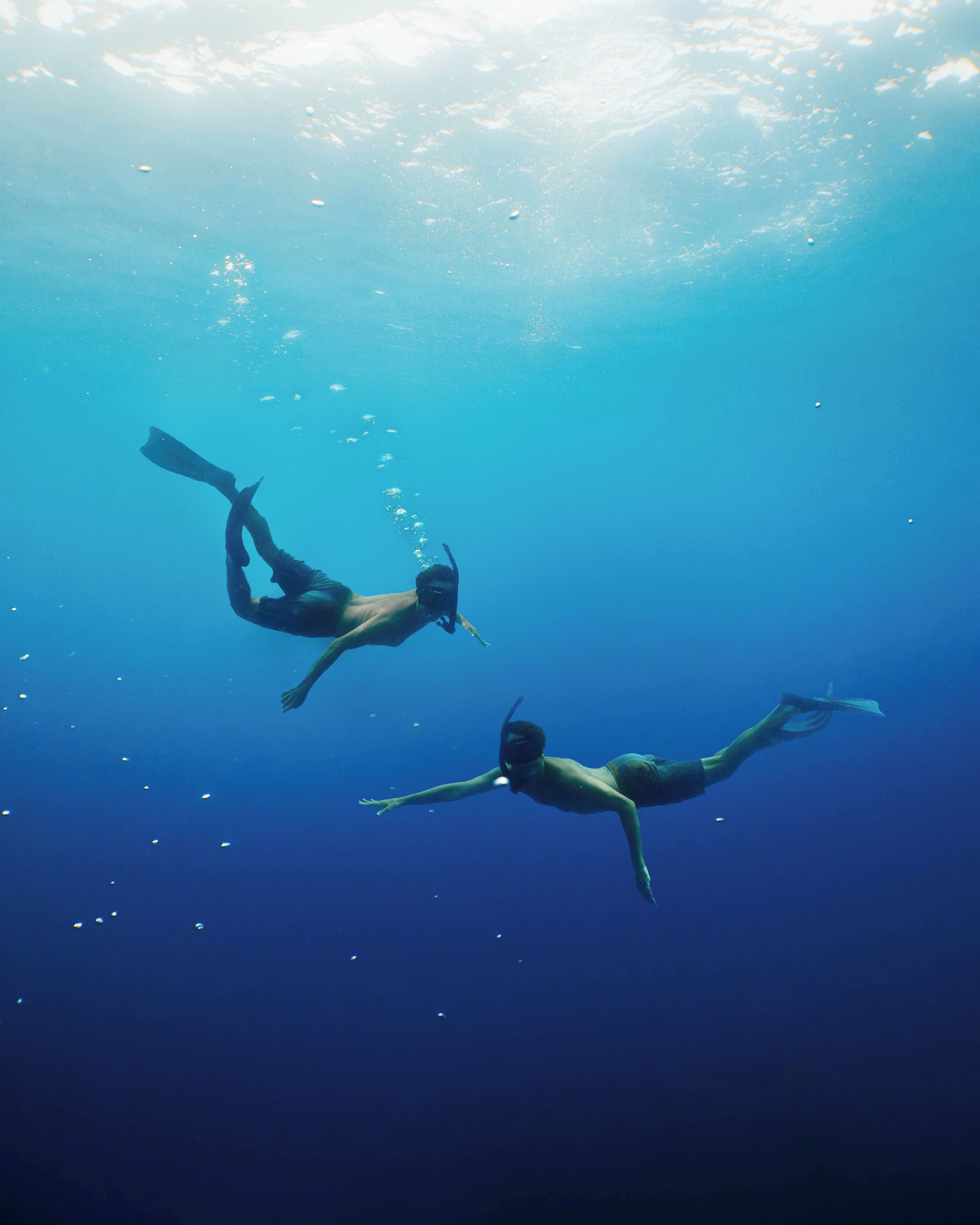 Two divers swimming underwater with sunlight filtering through the water.