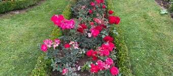 City Garden Kolašin