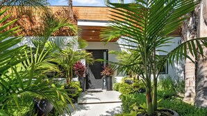 A modern house with a concrete pathway leading to a dark entrance, surrounded by lush greenery and palm trees.
