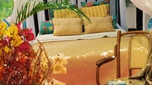 Une chambre à coucher avec un lit, des oreillers, une chaise et une plante décorative.