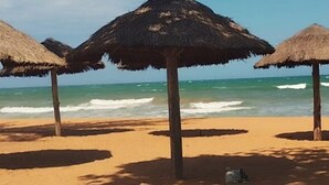 Une plage avec des parasols en chaume et un rivage sablonneux.