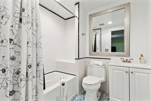 Hair dryer, towels, soap, toilet paper - Beautiful 1 bedroom Basement marvelous Downtown Silver Spring (Silver Spring)