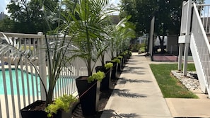A poolside area with a white fence, potted plants, and a concrete walkway.