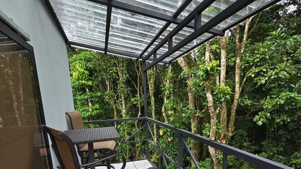 Ein Balkon mit Glasdach, umgeben von üppiger Bepflanzung.