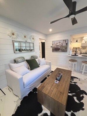 Smart TV, fireplace, books, music library