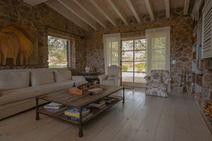 Télévision, cheminée, livres, médiathèque