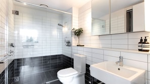 Shower, hair dryer, towels