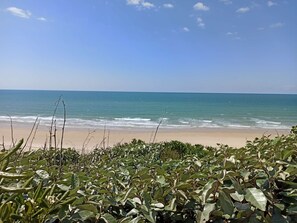 Beach nearby - Beautiful apartment in the center of Biscarrosse plage (BISCARROSSE)