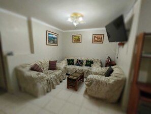 Smart TV, books - bullfrogs house (Cusco)