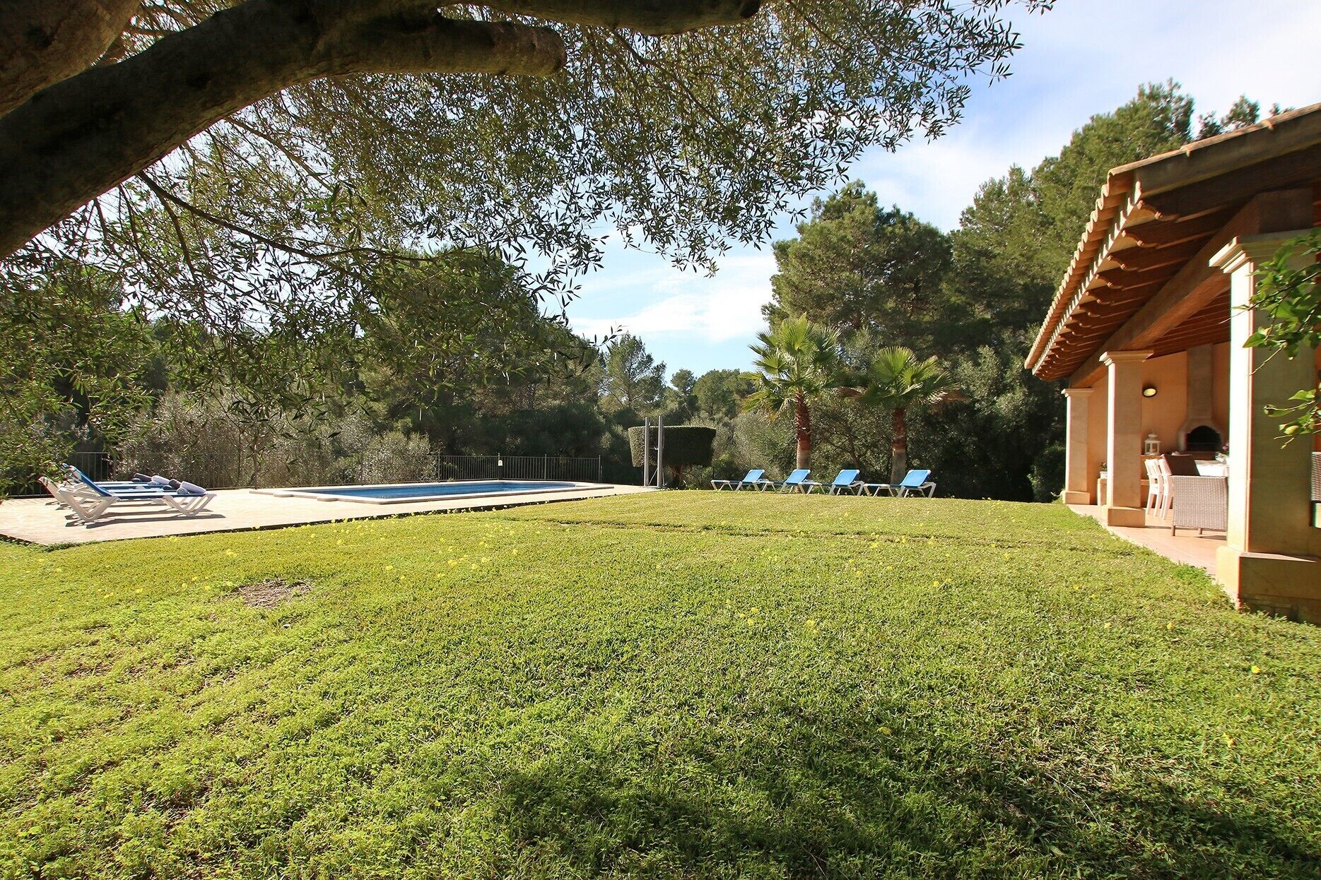 A well-maintained lawn, a swimming pool, lounge chairs, and a building with a tiled roof.