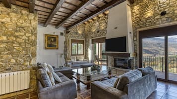 TV, fireplace, table tennis