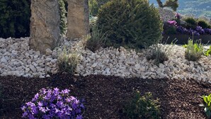 A garden with rock formations, a tree, and a mountain in the background. - Apartment 'Rododendro' with Mountain View, Wi-Fi and Air Conditioning (Cavedago)