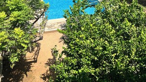 Una piscina rodeada de exuberante vegetación, con un edificio al fondo.