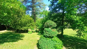 A well-maintained garden with various trees and shrubs, a clear sky, and a grassy area. - Château des Gipières, exceptional apartment: Private Garden, Pool, View of Mont Ventoux (Montbrun-les-Bains)